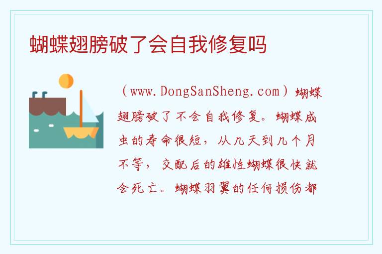 蝴蝶翅膀破了会自我修复吗 