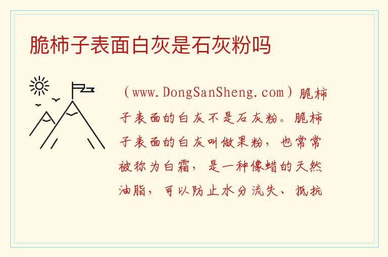 脆柿子表面白灰是石灰粉吗 