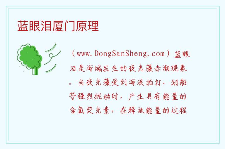 蓝眼泪厦门原理 厦门蓝眼泪是什么意思