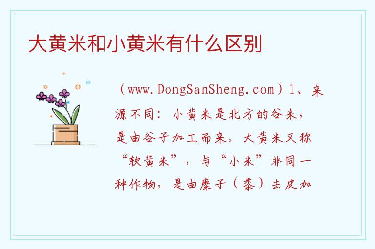 大黄米和小黄米有什么区别 