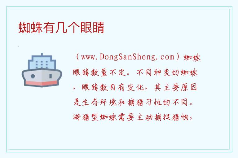 蜘蛛有几个眼睛 