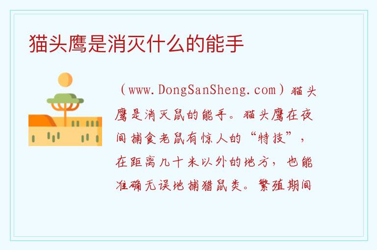 猫头鹰是消灭什么的能手 