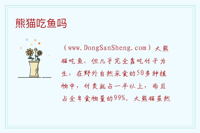 熊猫吃鱼吗 