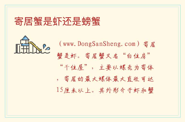 寄居蟹是虾还是螃蟹 