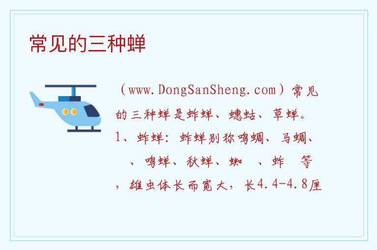 常见的三种蝉 