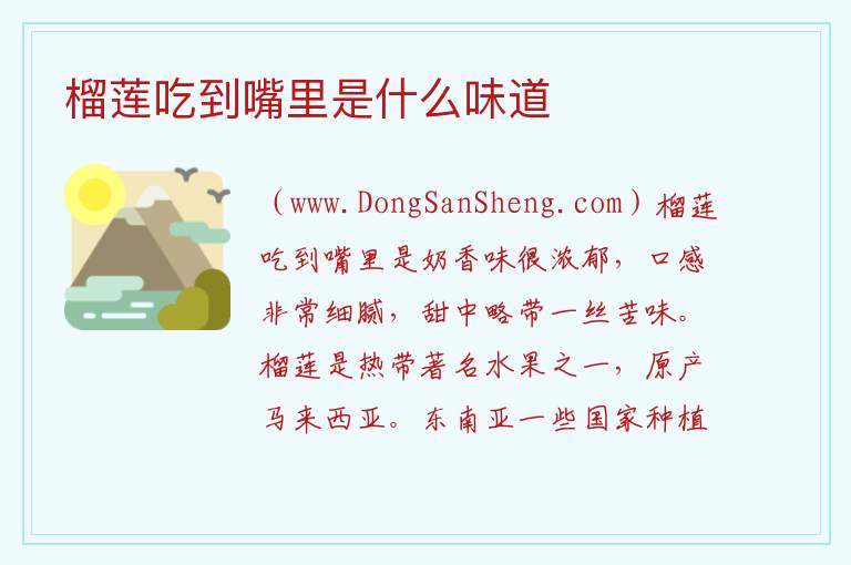 榴莲吃到嘴里是什么味道 