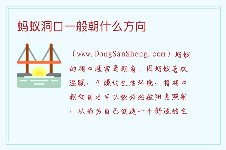蚂蚁洞口一般朝什么方向 蚂蚁洞穴怎么辨别方向