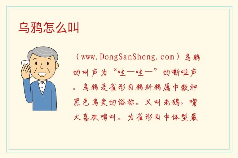乌鸦怎么叫 