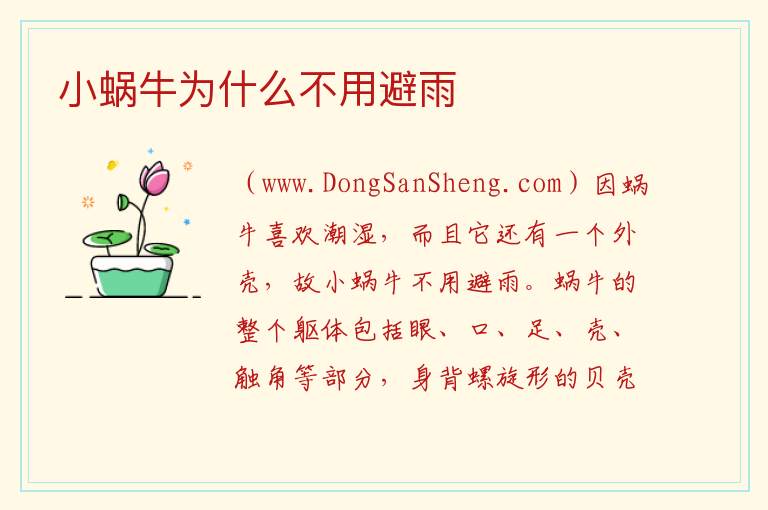 小蜗牛为什么不用避雨 