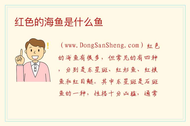 红色的海鱼是什么鱼 