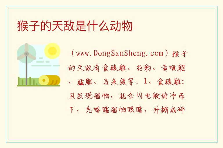 猴子的天敌是什么动物 