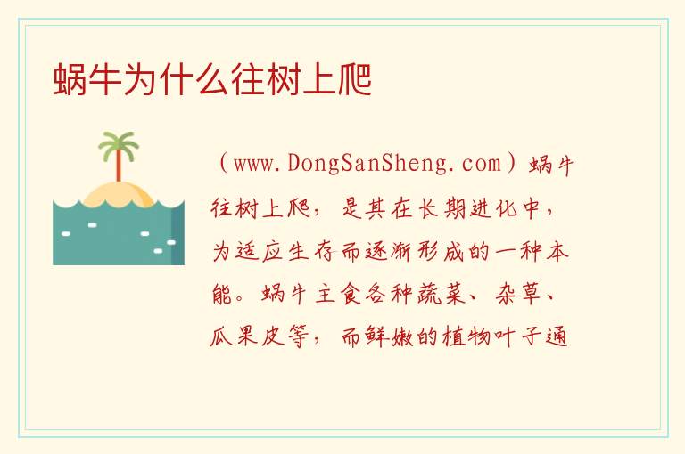 蜗牛为什么往树上爬 