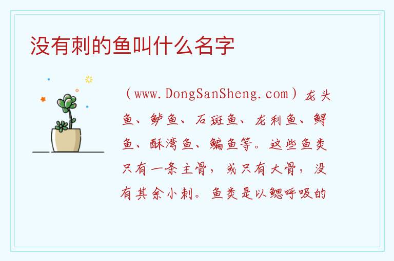 没有刺的鱼叫什么名字 