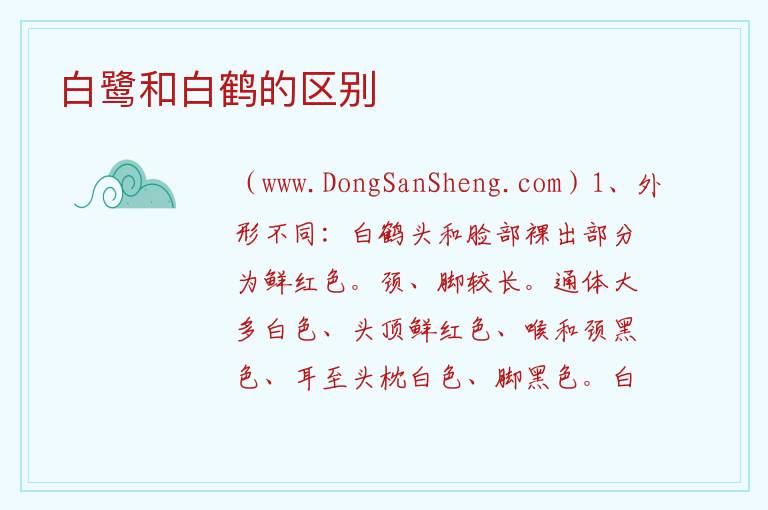 白鹭和白鹤的区别 
