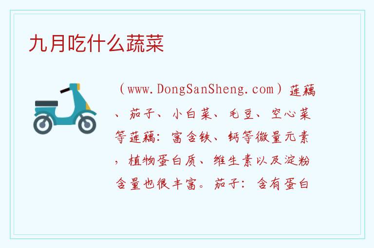 九月吃什么蔬菜 