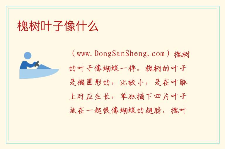 槐树叶子像什么 