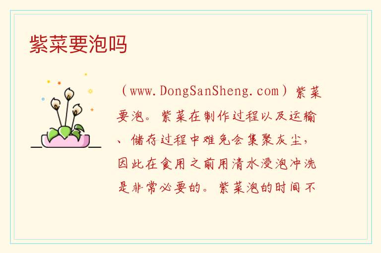 紫菜要泡吗 