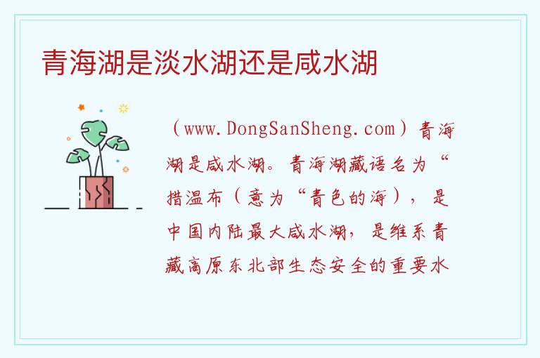 青海湖是淡水湖还是咸水湖 