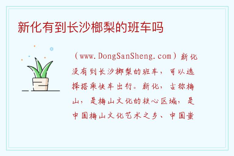 新化有到长沙榔梨的班车吗 