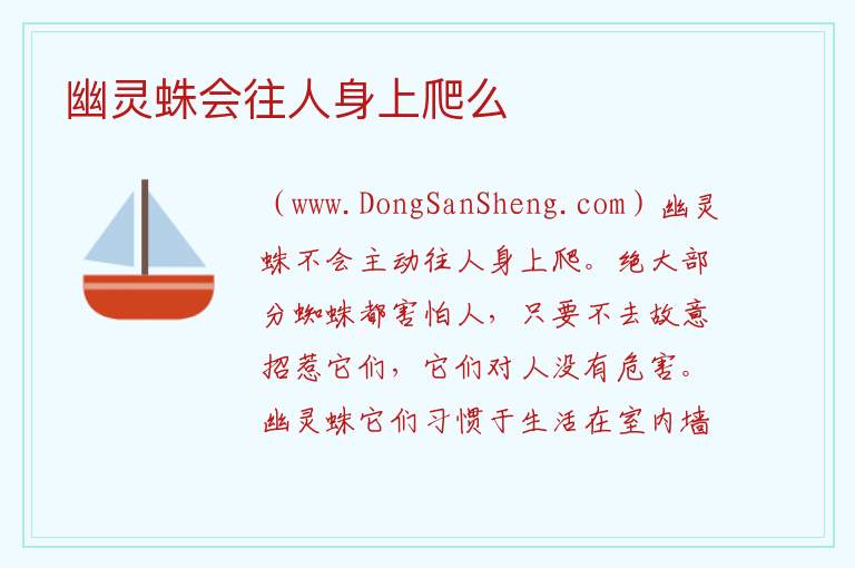 幽灵蛛会往人身上爬么 