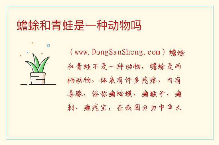 蟾蜍和青蛙是一种动物吗 