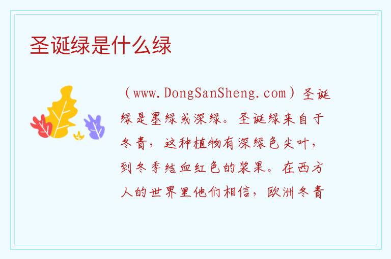 圣诞绿是什么绿 