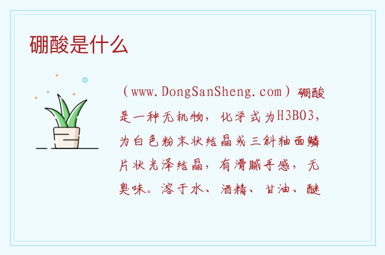 硼酸是什么 