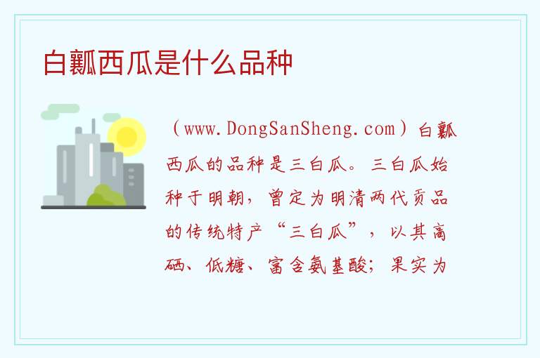白瓤西瓜是什么品种 