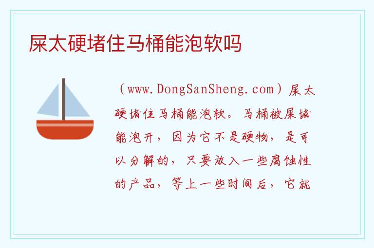 大便太干堵住马桶了，大便太干堵住马桶了