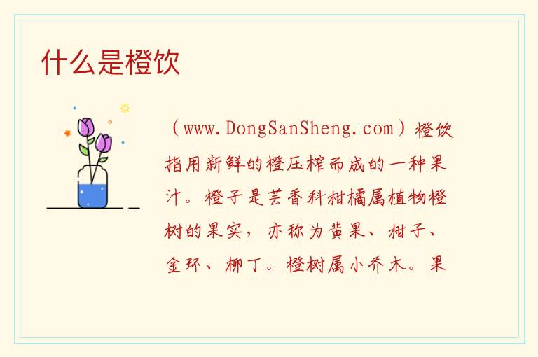 什么是橙饮 