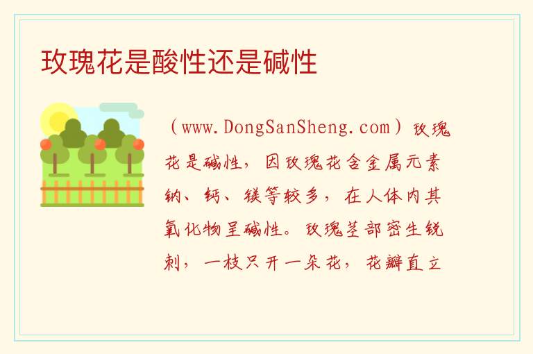 玫瑰花是酸性还是碱性 