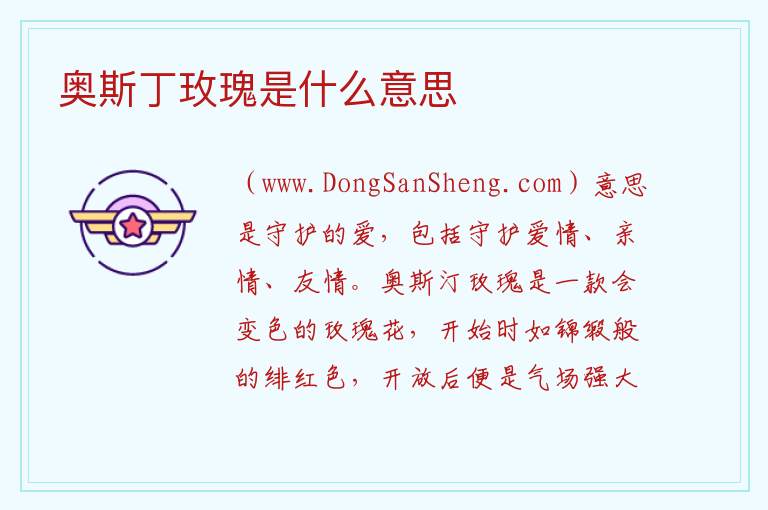奥斯丁玫瑰是什么意思 