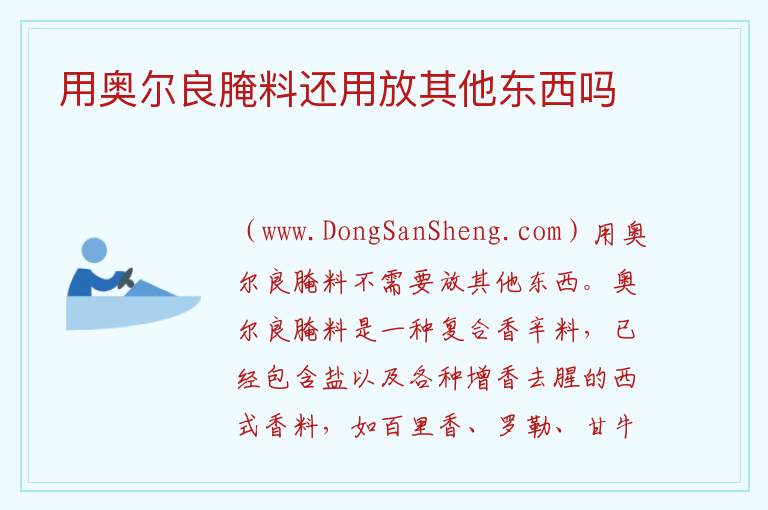 用奥尔良腌料还用放其他东西吗 