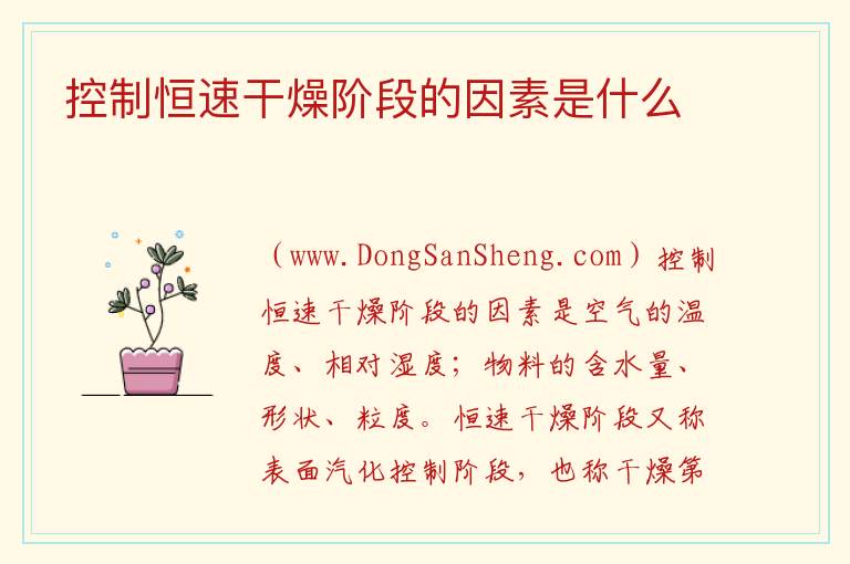 控制恒速干燥阶段的因素是什么 
