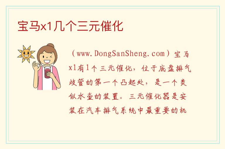 宝马x1几个三元催化 