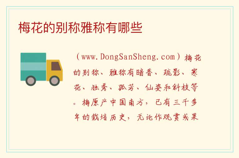 梅花在诗中的别称，梅花在诗中的别称