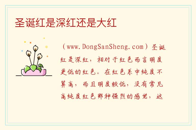 圣诞红是深红还是大红 