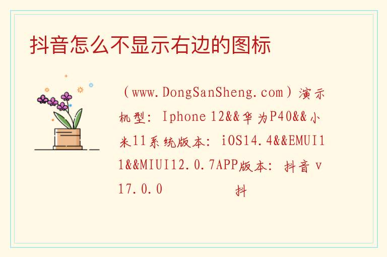 抖音怎么不显示右边的图标 