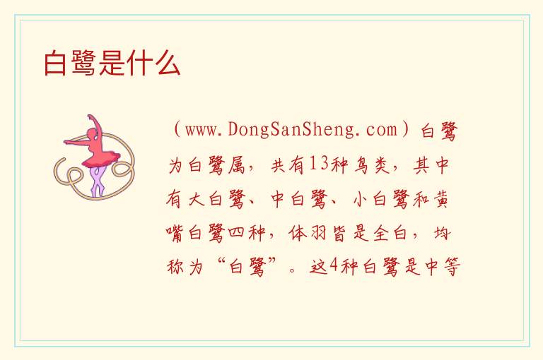 白鹭是什么 