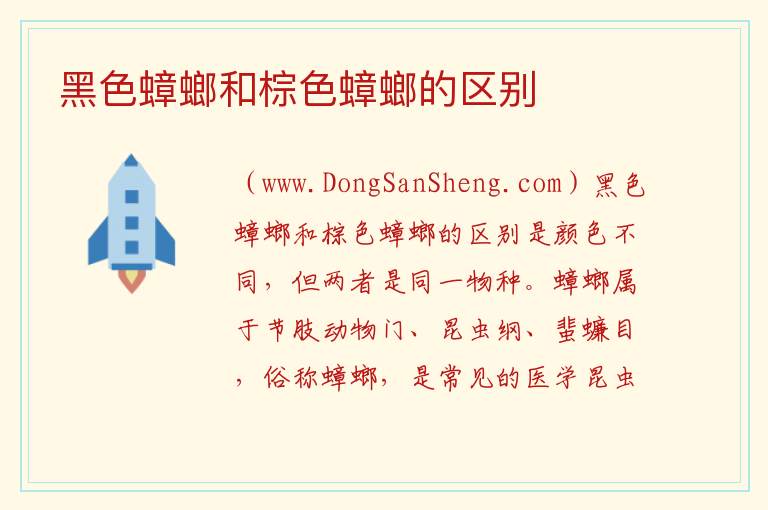 黑色蟑螂和棕色蟑螂的区别 