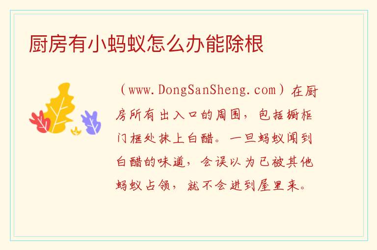 厨房有小蚂蚁怎么办能除根 