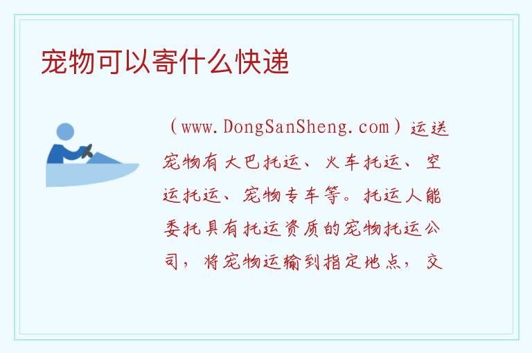 宠物可以寄什么快递 