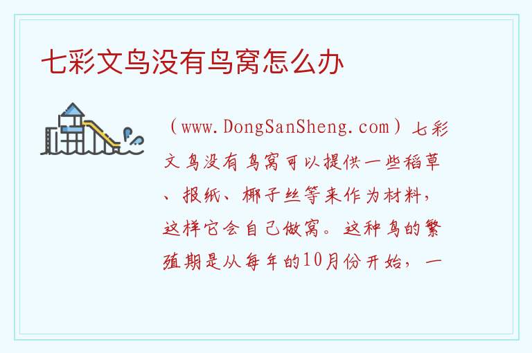 七彩文鸟没有鸟窝怎么办 