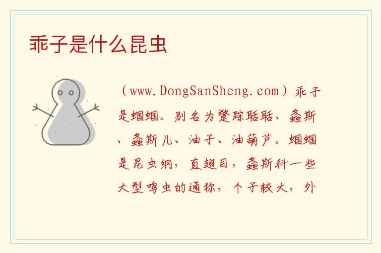乖子是什么昆虫 