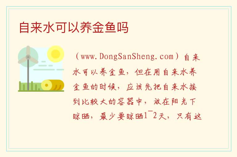 自来水可以养金鱼吗 