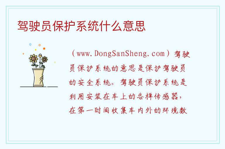 驾驶员保护系统什么意思 