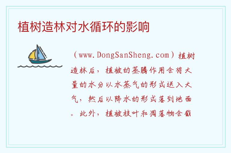 植树造林对水循环的影响 