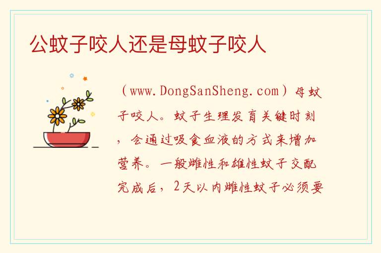 公蚊子咬人还是母蚊子咬人 