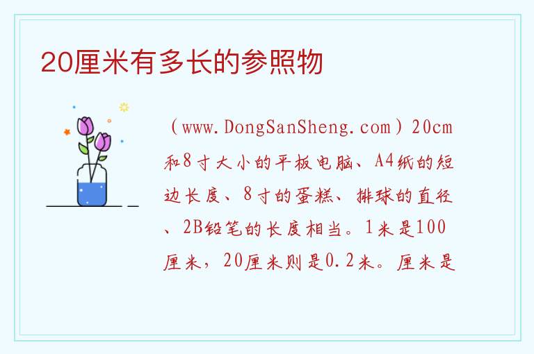 20厘米有多长的参照物 