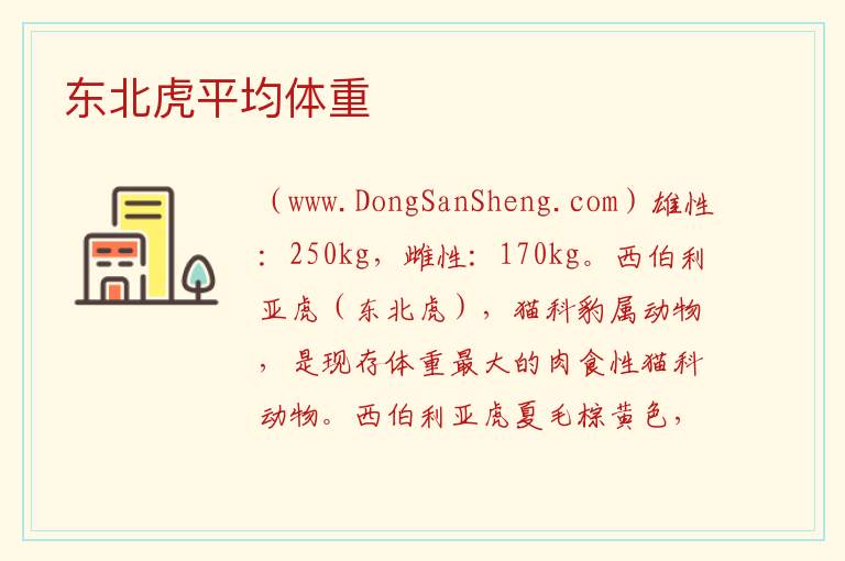 东北虎平均体重 